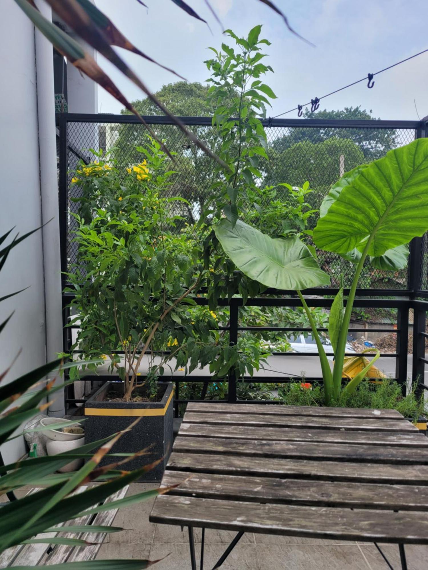 Agk House - Homestay - 406 Xo Viet Nghe Tinh, P25, Binh Thanh, Gan Nga 4 Hang Xanh Ciudad Ho Chi Minh  Exterior foto